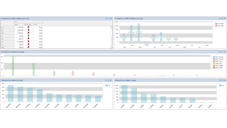 Exemple d'un tableau de bord dans EBP gestion commerciale